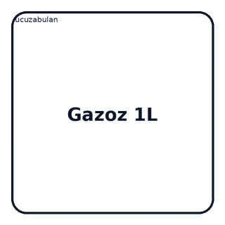 Gazoz 1 L