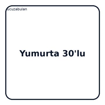 Yumurta 30'lu