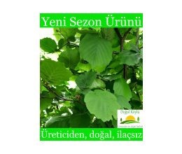 Taze Fındık Yaprağı 100gr - Üreticiden, Doğal, Ilaçsız